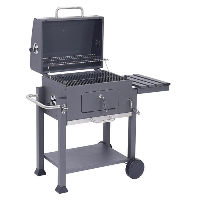 Barbacoa de carbón COSYLIFE CL-4128 con estante