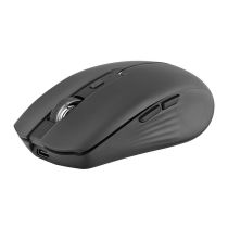 Raton TNB Gradient black - rechargeable