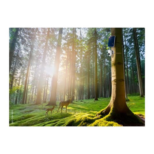 Cámara de vigilancia motorizada CHACON 4G 2K con panel solar