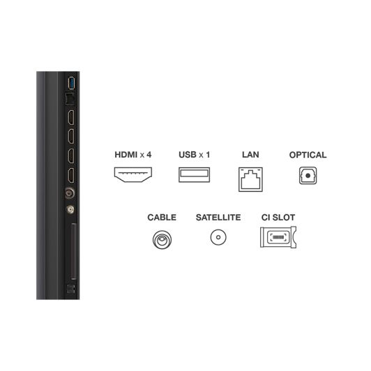 TV MINILED 55