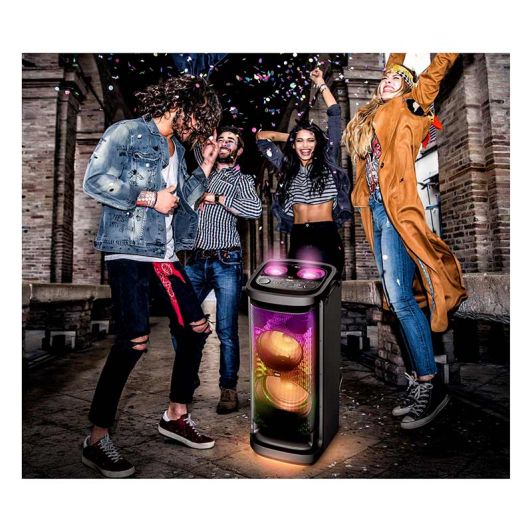 Altavoz bt. PICKERING PKG 2000