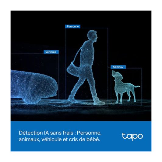 CÁMARA DE SEGURIDAD TAPO C246D DUAL OBJ 2Kx2