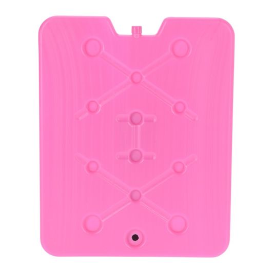 Placa acumuladora de frío de 32 × 25 cm