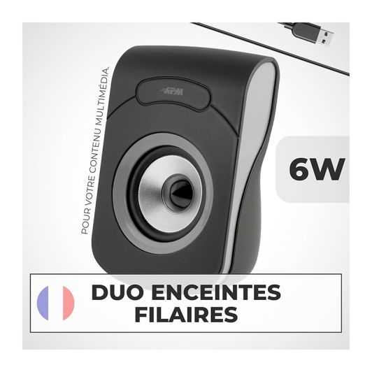 DUO DE ALTAVOCES PARA PC USB 2.0 CON CABLE APM