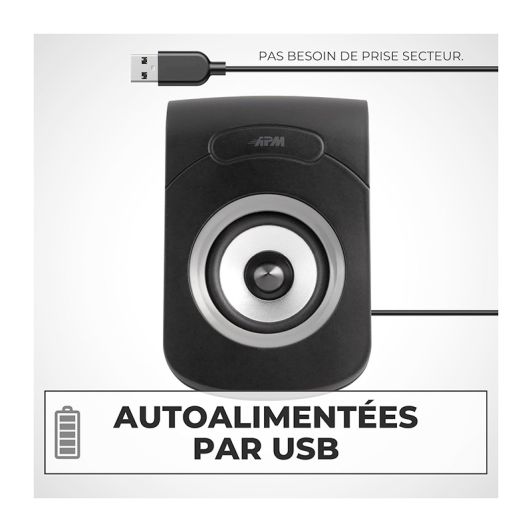 DUO DE ALTAVOCES PARA PC USB 2.0 CON CABLE APM
