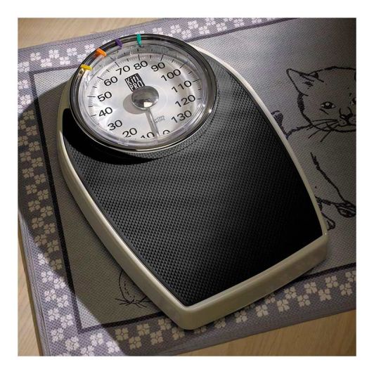 BASCULA MECÁNICA KITIPRO