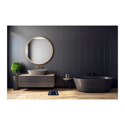 Báscula de baño TERRAILLON FIT COACH wifi