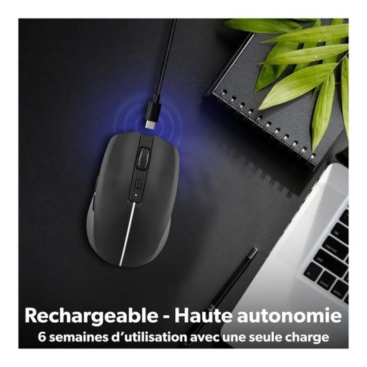Raton TNB Gradient black - rechargeable