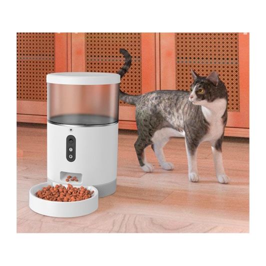 Dispensador Auto croquetas PAWZZ  Gatos y Perros pequeños 4L con cámara Nocturna Detección de movimiento Altavoz, App de control