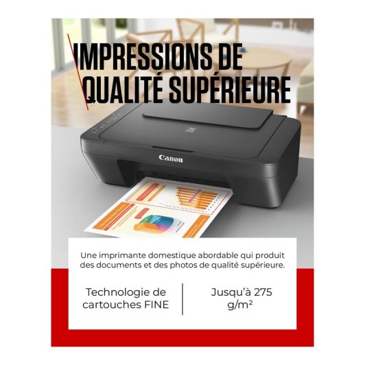 Impresora Canon MG2556S multifunción 3 en 1