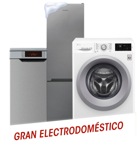 Gran electrodoméstico